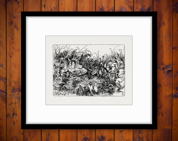 Printable Digital Fairies and an Animal Band Graphic Music Download Image Antique Clip Art Jpg Png Eps HQ 300dpi No.1826