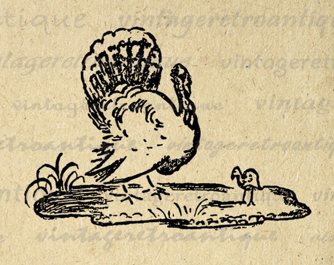 Digital Printable Turkey Graphic Thanksgiving Download Image Vintage Clip Art Jpg Png Eps HQ 300dpi No.1583