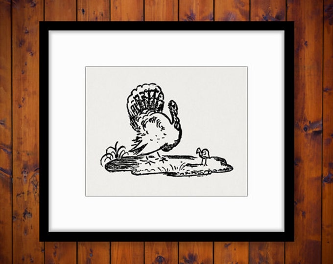 Digital Printable Turkey Graphic Thanksgiving Download Image Vintage Clip Art Jpg Png Eps HQ 300dpi No.1583