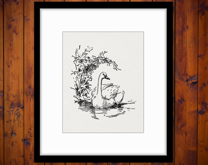 Printable Duck Graphic Image Illustration Download Bird Digital Antique Clip Art Jpg Png Eps HQ 300dpi No.3775