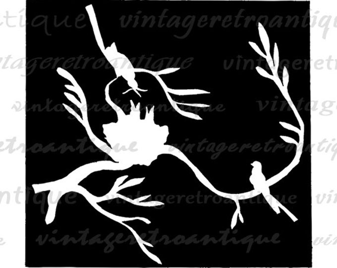 Digital Birds and Bird Nest Square Image Printable Birdnest Illustration Graphic Download Vintage Clip Art Jpg Png HQ 300dpi No.3371