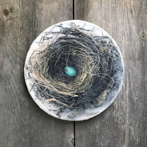 Items similar to Nest with blue robin's eggs. Original encaustic wall