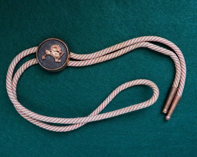 ON SALE! Cowboy Bolo Tie, Vintage Rodeo Bolo, Cowboy Western Tie, Striped Bolo