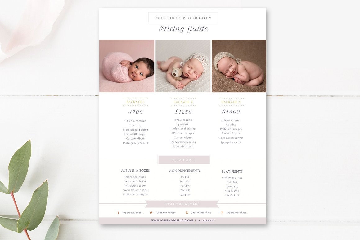 Newborn Pricing Template Photography Pricing Guide Price