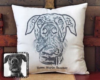 Custom Photo Pillow, Picture Pillow, Great Dane, Dog Pillow, Custom Pillow, Personalized Pet Pillow, Pet Pillow, pet memorial, dog gift