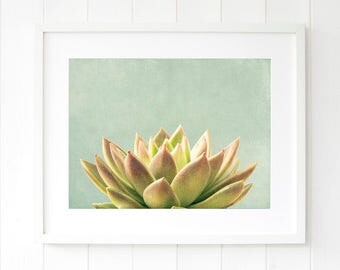 Zen Wall Decor succulent wall decor | etsy Zen Wall Decor succulent wall decor | etsy