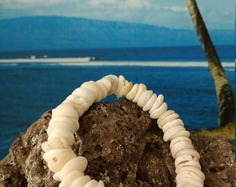 Genuine puka shell bracelet or necklace from Maui