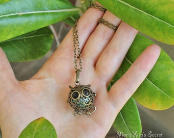 Aromatherapy Owl Locket Necklace, Bronze Essential Oil Diffuser Necklace, Owl Locket with Turquoise Stone and Lava Stone, Perfume Locket