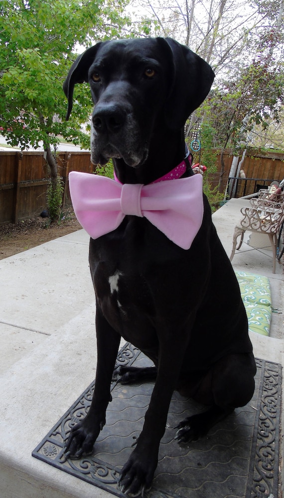 Large dog bows bowtie big pet bow tie bowtie fits on