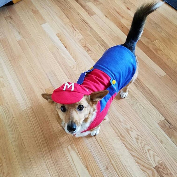 Mario Dog Costume
 Mario dog costume