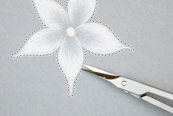 Parchment Craft Scissors Pergamano Pointed Scissors Exclusive Parchment Paper Scissors For