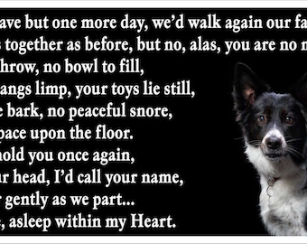 Border Collie Dog Bereavement Memorial Fridge Magnet Gift