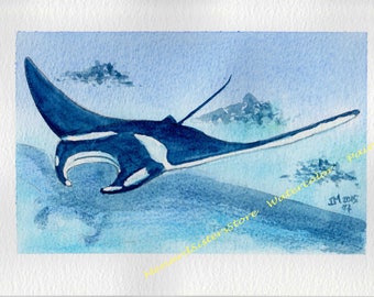 An Another Manta ray - Animal Watercolor Painting-Marine animal