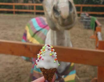 Ice cream treats from the Pony Riders Club Bakery!
