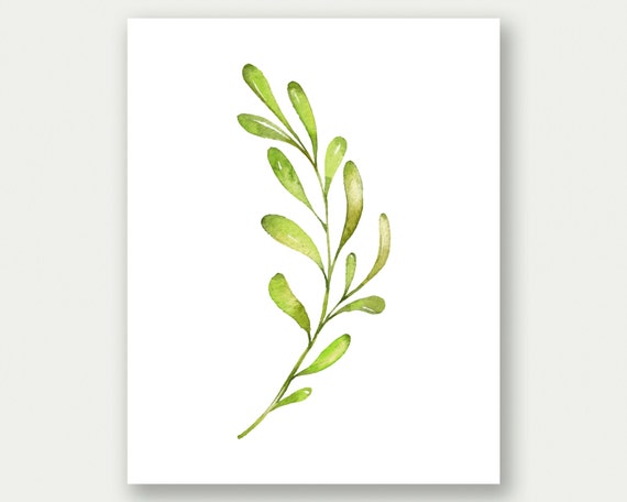 Plant Printable Nature Wall Art Plant Artwork Botanical
