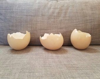 Ostrich egg halves by American Ostrich Farms (3)