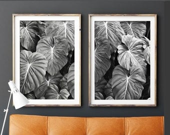 Tropical Print, Set Of 2 Prints, Black and White Photography, Print, Botanical Print, Wall Art, Posters, Prints, Leaf Print, Designer Art
