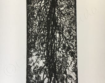 WATERFALL etching, ENGRAVING, aquatint and drypoint, INTAGLIO