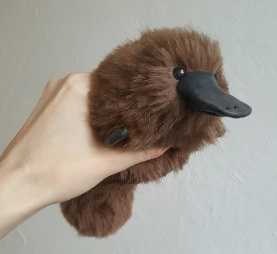 stuffed animal platypus