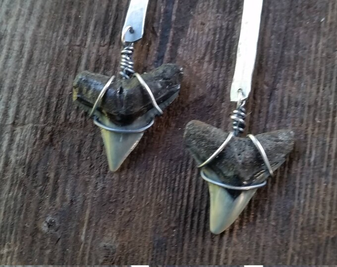 Fossilized Shark's Teeth Found on a Florida Beach and put in a Sterling Silver Setting