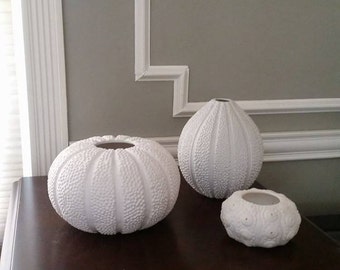 White Sea Urchin Shell Vases