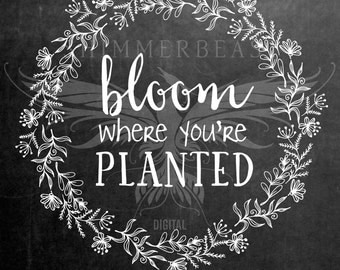 Bloom Where You're Planted SVG Cut File | Floral svg | Silhouette svg | Cricut svg | SVG sayings | Spring Garden svg | Inspiration Quote svg