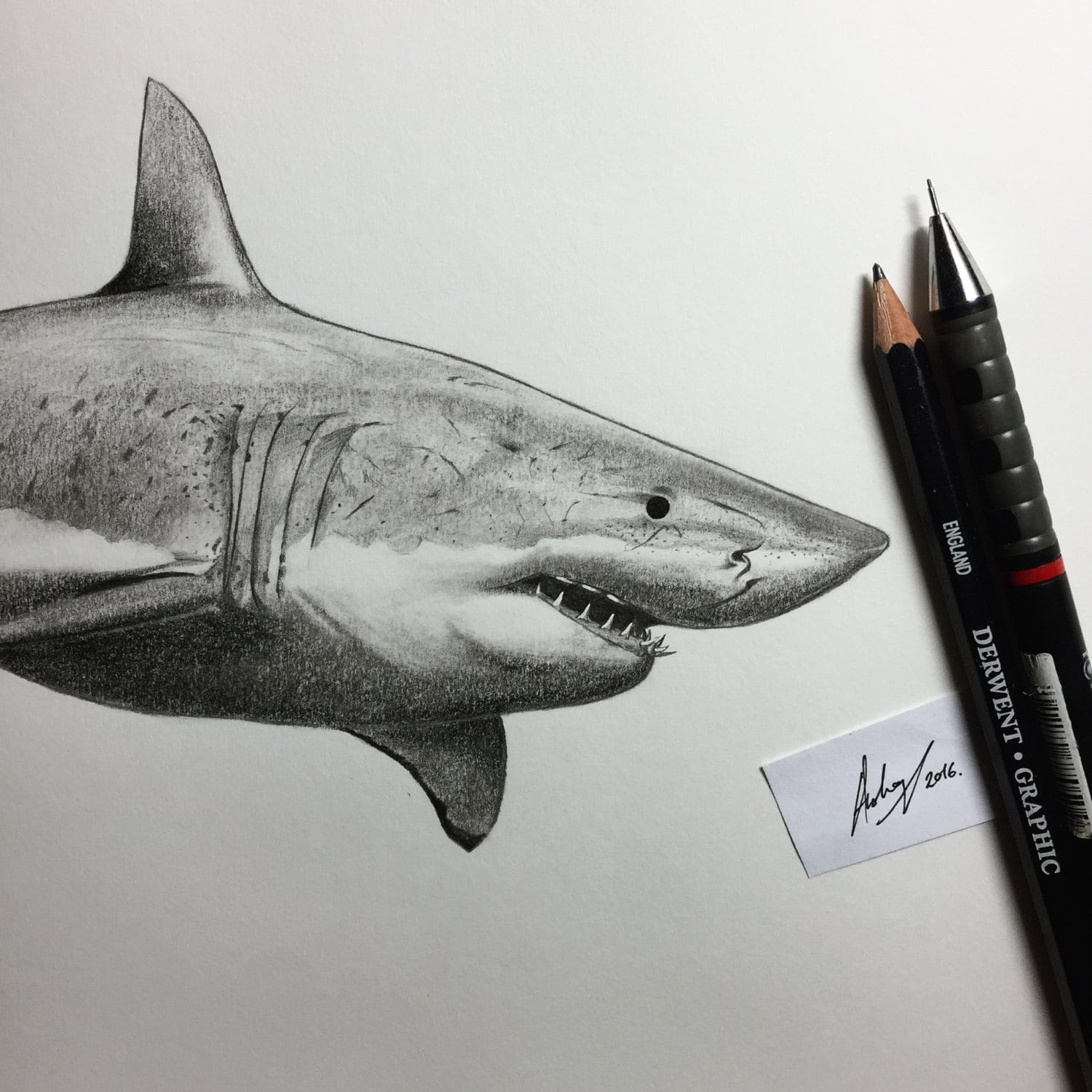 Endangered 4 'Great White' A4 Original Illustration