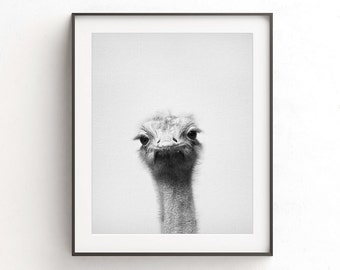 Ostrich print ostrich wall art nursery print digital print download printable nursery decor animal print black and white photo minimalist