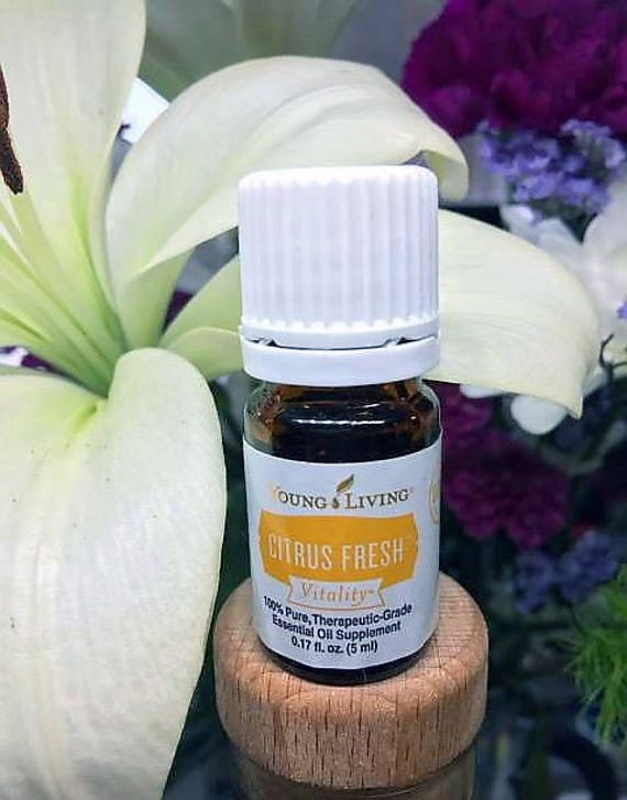 SUMMER SALE Citrus Fresh Vitality Essential Oil by Young