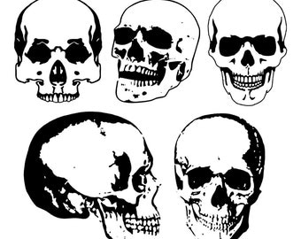 5 vector Skulls, Anatomy clip art, Skull clip art, Skull SVG, silhouette, Svg, Dxf, Eps, Ai, Cdr, Studio3 files. Design element, clipart