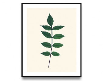 Botanical leaf art, botanical print, printable leaf, leaf wall decor, leaf printable, leaf wall art, printable art, nordic print art