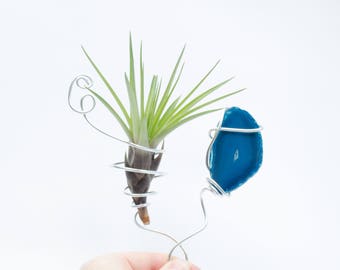 Blue Agate Crystal, Air Plant Holder, Air Plant Fridge Holder, Best Friend Gift, Window Catcher, Crystal Decor, Blue Crystal, Thank you Gift
