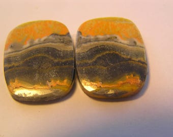 Bumblebee Jasper Freeform Designer Cabochons Pair