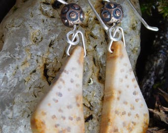 Petrified Palm Wood Copper and Sterling Silver Earrings