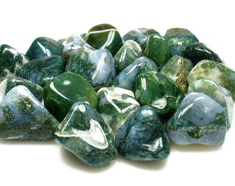 TUMBLED - (2) Medium/Large MOSS AGATE Crystals with Description Card - Healing Stone Reiki