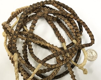Real Snake Vertebrae Bead Strands From Africa, 10mm x 9mm, 85 Vertera approx., Snake Bone Bead Strand - SnaVer