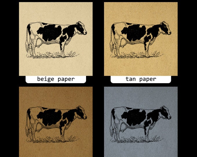 Printable Holstein Cow Digital Image Farm Animal Printable Cow Illustration Vintage Graphic Antique Clip Art Jpg Png Eps HQ 300dpi No.3104