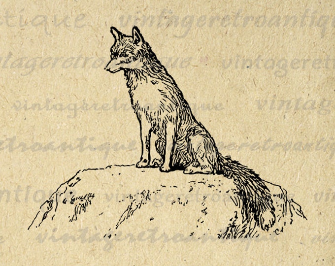 Printable Image Noble Fox Antique Graphic Digital Download Vintage Clip Art Jpg Png Eps HQ 300dpi No.502