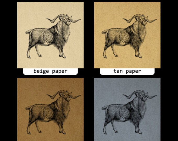 Printable Goat Ram Antique Graphic Download Digital Image Jpg Png Eps HQ 300dpi No.517