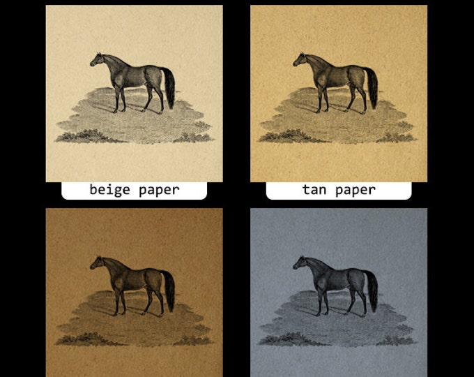 Antique Horse Digital Image Graphic Printable Download Illustration Vintage Clip Art Jpg Png Eps HQ 300dpi No.4044