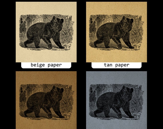 Digital Graphic Black Bear Image Printable Download Artwork Antique Clip Art Jpg Png Eps HQ 300dpi No.2645