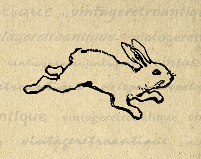 Digital Printable Rabbit Download Cute Bunny Graphic Rabbit Image Antique Clip Art for Transfers Making Prints etc HQ 300dpi No.4620