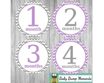 Bodysuit Stickers, Monthly Baby Stickers Girl, Growth Stickers, Milestone Month Stickers, Baby Photo Prop, Purple Grey Gray Chevron