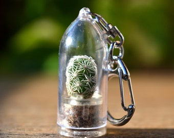 Snowball Cactus Terrarium Keychain / Cactus Keychain / For Her Keychain / Keychain Lanyard / Boyfriend Gift