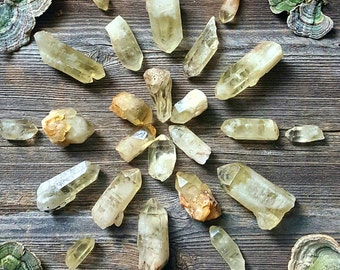Natural Tibetan Citrine Points | 4 Sizes | Ultimate Prosperity & Vitality Stones | Natural Smoky Lemon Color | Unheated Citrine