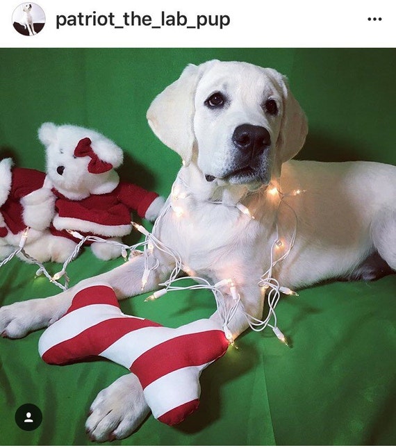 stuffed candy cane dog toy