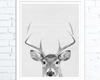 Gift, Printable Gift, Deer Print, Home Decor, Woodland Nursery, Animal Print, Deer Poster, Deer Head, Woodland Animals, Deer Antler