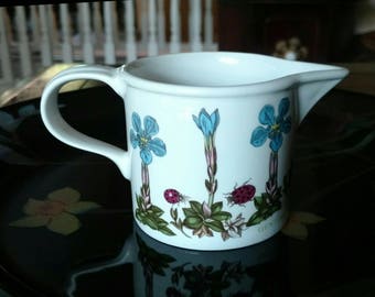 Vintage Portmeirion Botanic Garden Creamer