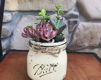 Succulent Planter, Indoor Planter, Indoor Plant Pots, Rustic Planter, Flower Pot, Unique Planters, Flower Pot