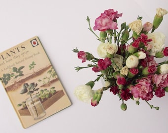 Vintage Ladybird book on plants